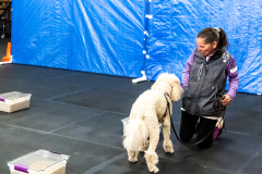 10-22-23-ScentWork-1462