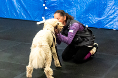 10-22-23-ScentWork-1463