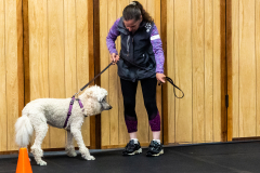 10-22-23-ScentWork-1464