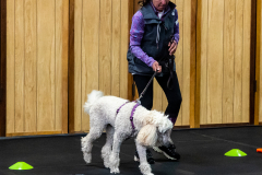 10-22-23-ScentWork-1465