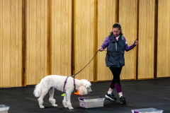 10-22-23-ScentWork-1466