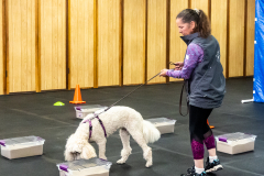 10-22-23-ScentWork-1469