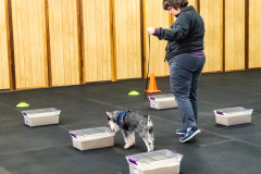 10-22-23-ScentWork-1485