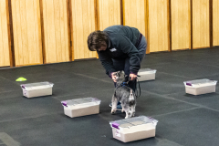 10-22-23-ScentWork-1487