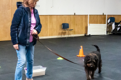 10-22-23-ScentWork-1490
