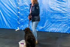10-22-23-ScentWork-1492