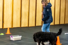 10-22-23-ScentWork-1499