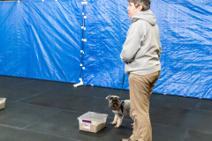 10-22-23-ScentWork-1513