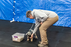 10-22-23-ScentWork-1515