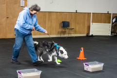 10-22-23-ScentWork-1536