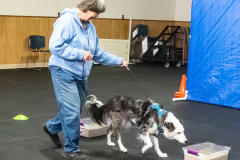 10-22-23-ScentWork-1537