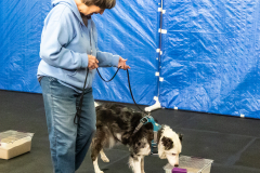 10-22-23-ScentWork-1538