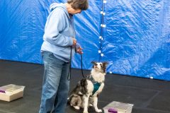 10-22-23-ScentWork-1539