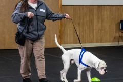 10-22-23-ScentWork-1542