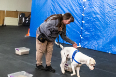 10-22-23-ScentWork-1548