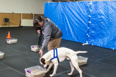 10-22-23-ScentWork-1549