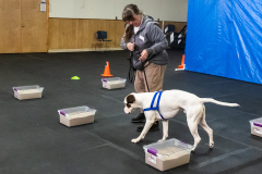 10-22-23-ScentWork-1550