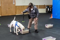 10-22-23-ScentWork-1553