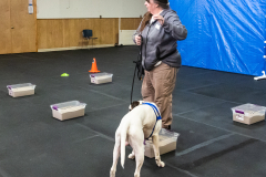 10-22-23-ScentWork-1554