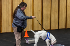 10-22-23-ScentWork-1557