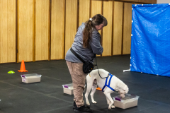 10-22-23-ScentWork-1558