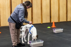 10-22-23-ScentWork-1562