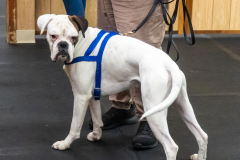 10-22-23-ScentWork-1566