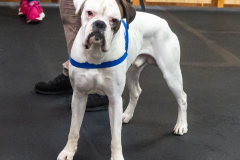 10-22-23-ScentWork-1569