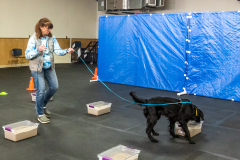 10-22-23-ScentWork-1573