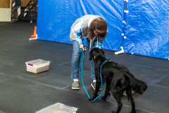 10-22-23-ScentWork-1575