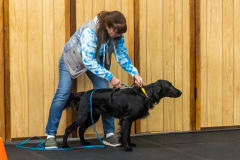 10-22-23-ScentWork-1576