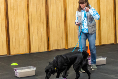 10-22-23-ScentWork-1579