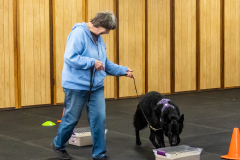 10-22-23-ScentWork-1585