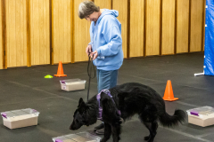 10-22-23-ScentWork-1587