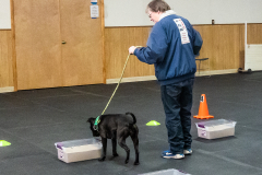 10-22-23-ScentWork-1598