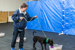 10-22-23-ScentWork-1599