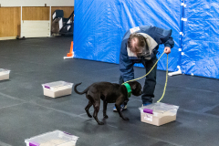 10-22-23-ScentWork-1601