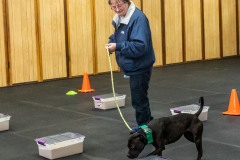 10-22-23-ScentWork-1605