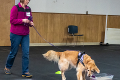 10-22-23-ScentWork-1617