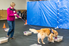 10-22-23-ScentWork-1619