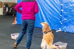 10-22-23-ScentWork-1620