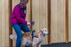 10-22-23-ScentWork-1623