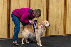 10-22-23-ScentWork-1624
