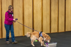 10-22-23-ScentWork-1625