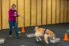 10-22-23-ScentWork-1626