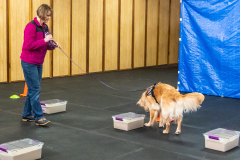 10-22-23-ScentWork-1628