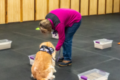 10-22-23-ScentWork-1631