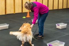 10-22-23-ScentWork-1632
