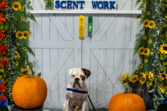 10-22-23-ScentWork-1656