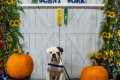 10-22-23-ScentWork-1658